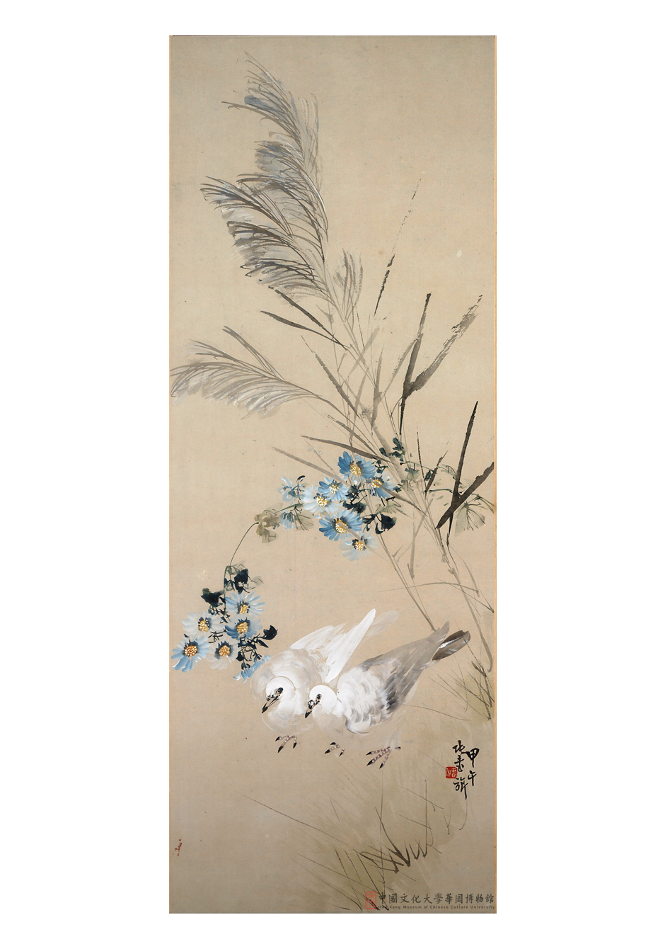 草菊雙鴿Doves and Chrysanthemum  