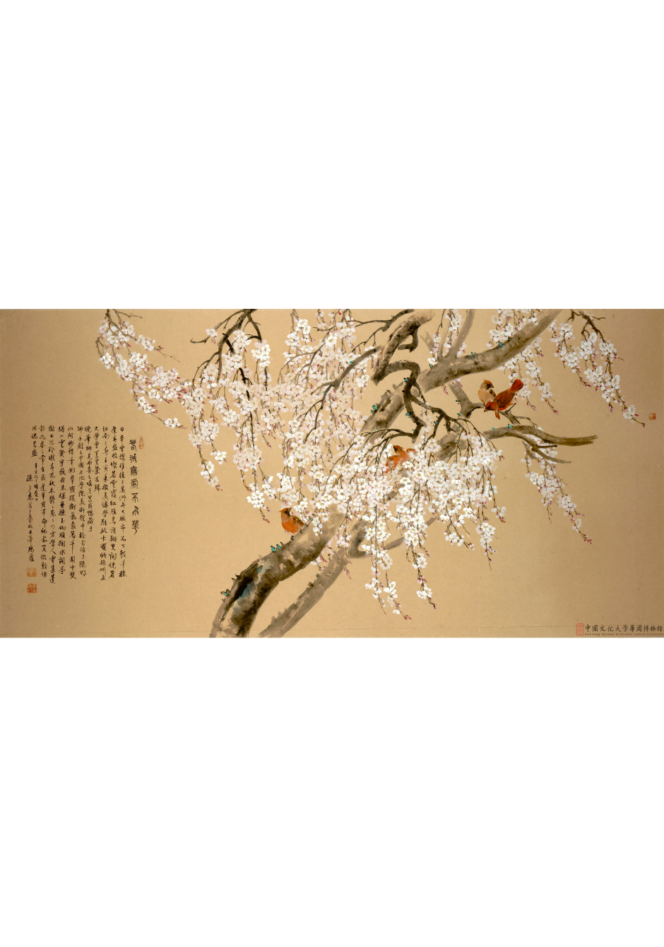 春城無處不飛華Spring in Town