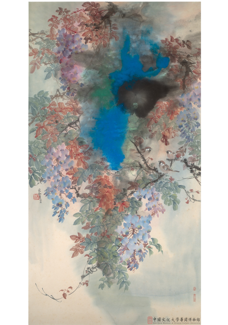 紫藤Purple Wisteria 