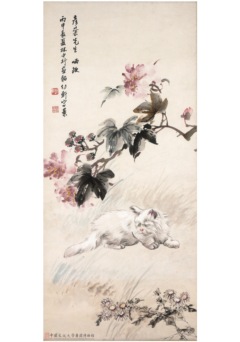 花前白貓White Cat and Flowers