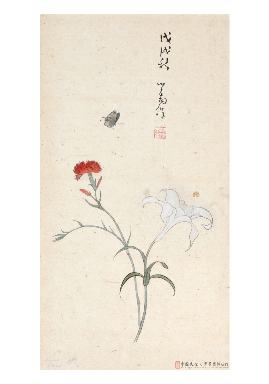 花蝶Flowers and Butterfly