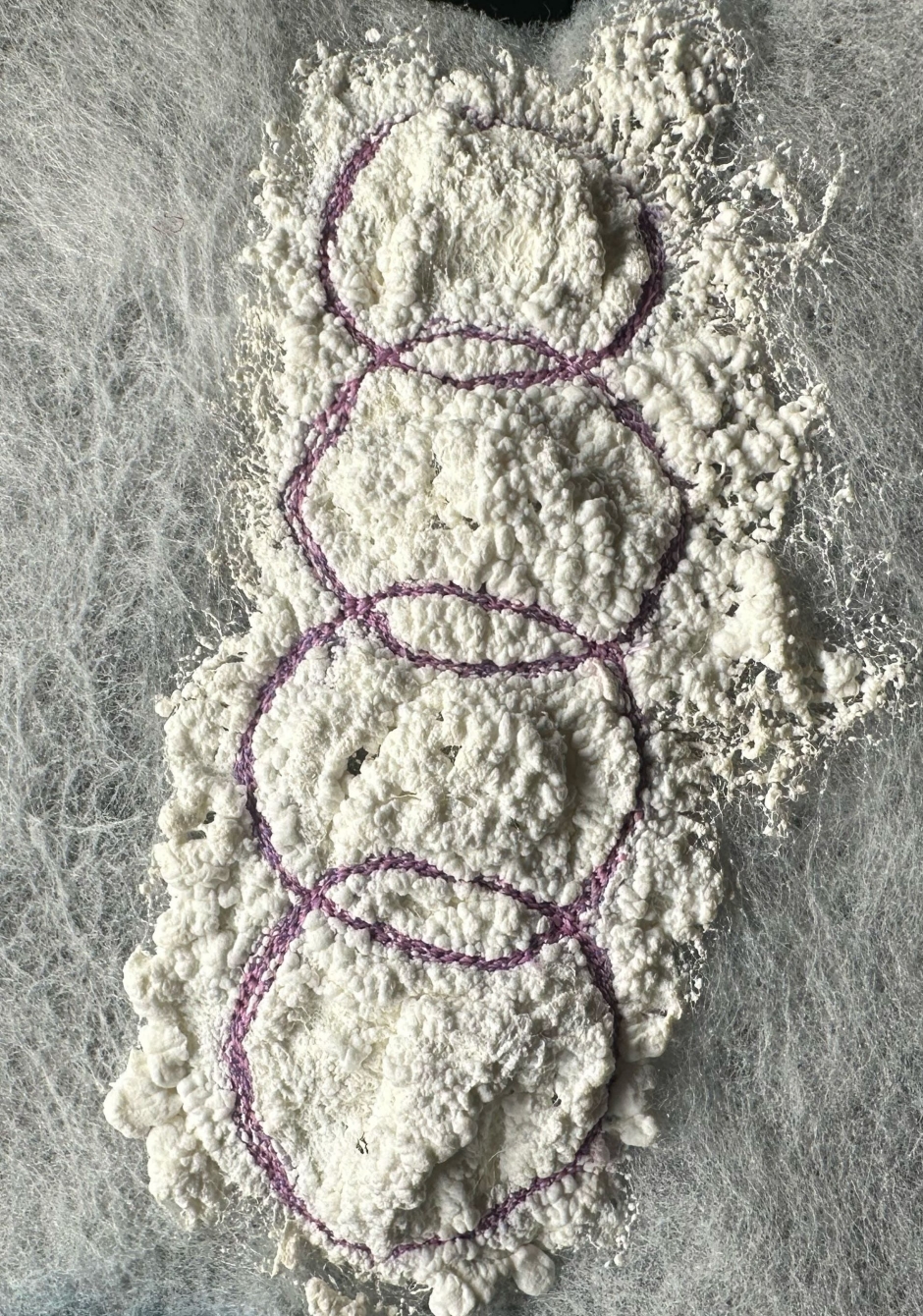 楊紫宸畢業展-解構與重構：生命之美穿梭於服裝細節