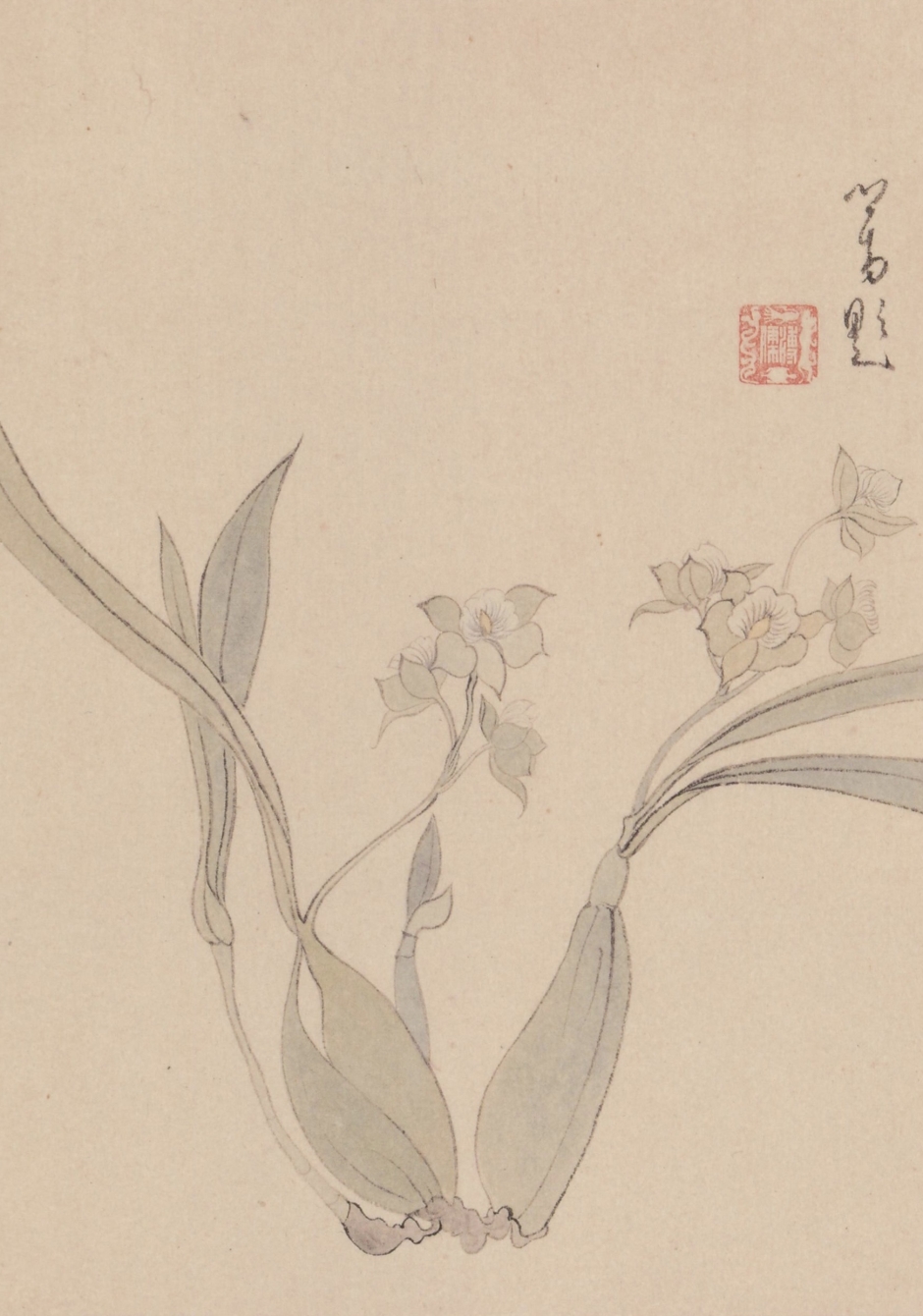 幽蘭-姚兆明繪.溥心畬題