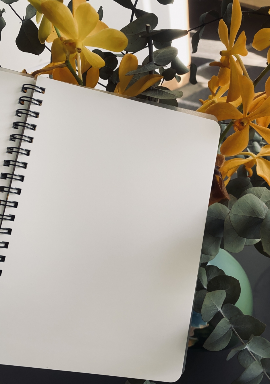 【福蝶】白頁手札