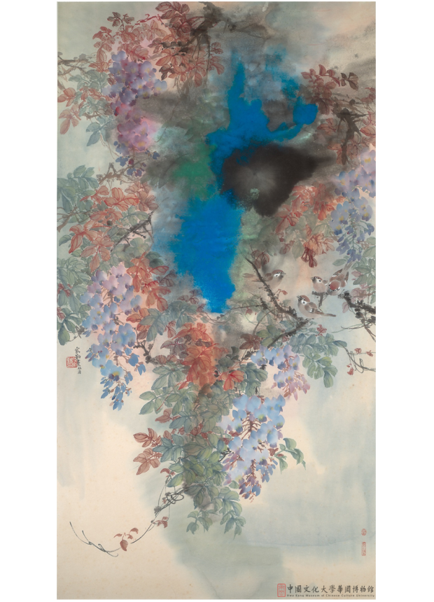 紫藤Purple Wisteria 