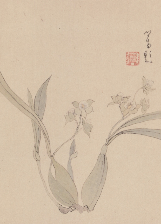 幽蘭-姚兆明繪.溥心畬題