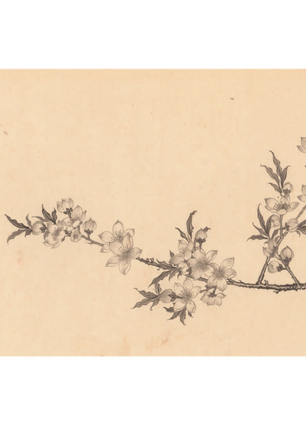 墨色工筆花卉─桃花  