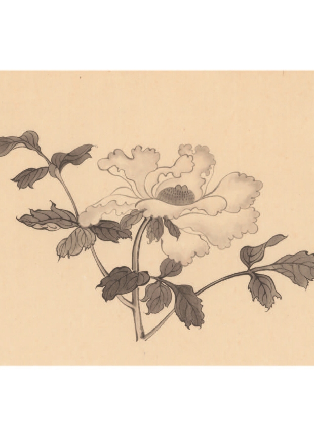 墨色工筆花卉─牡丹(芍藥)