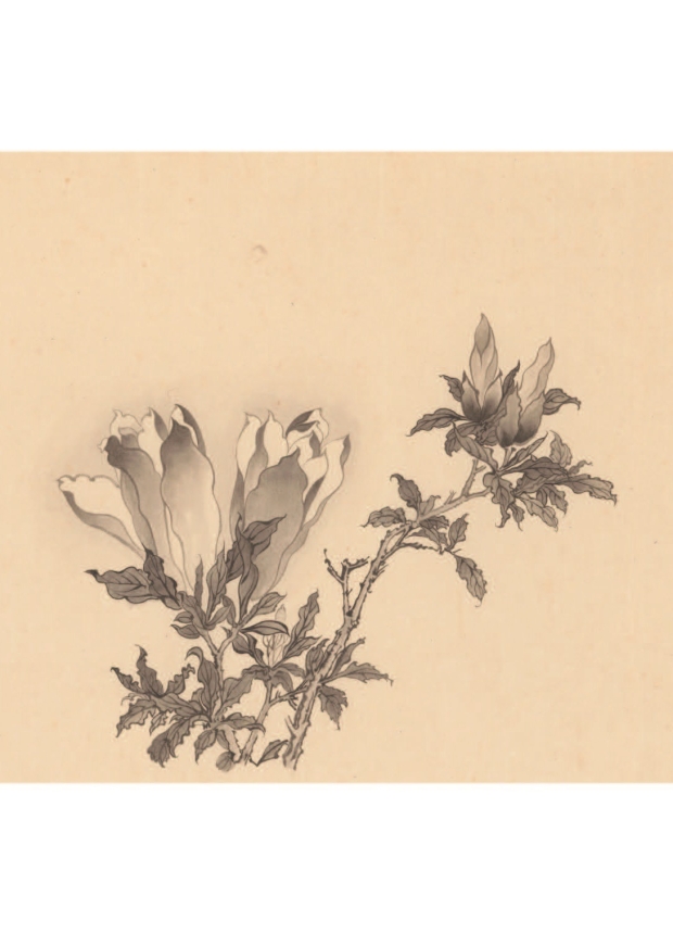 墨色工筆花卉─辛夷