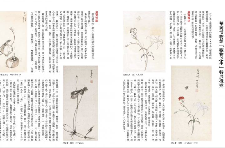 生生之謂易─華岡博物館「觀物之生」特展概述